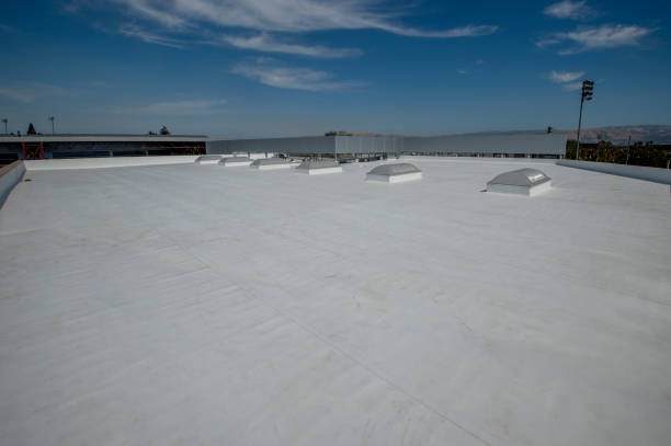 Best Roof Maintenance and Cleaning  in Washington, PA