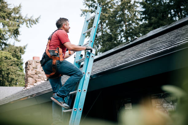 Best Solar Panel Roofing Installation  in Washington, PA